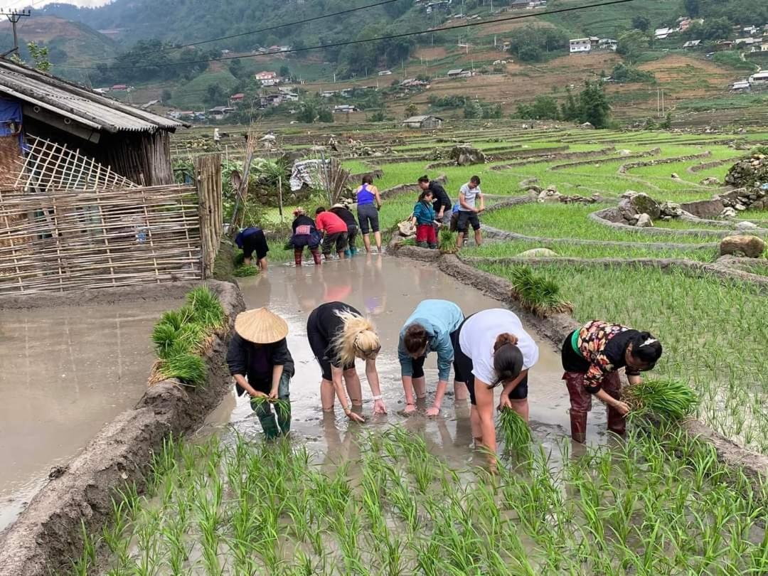 Tavan Dragon House Lao Cai Dış mekan fotoğraf