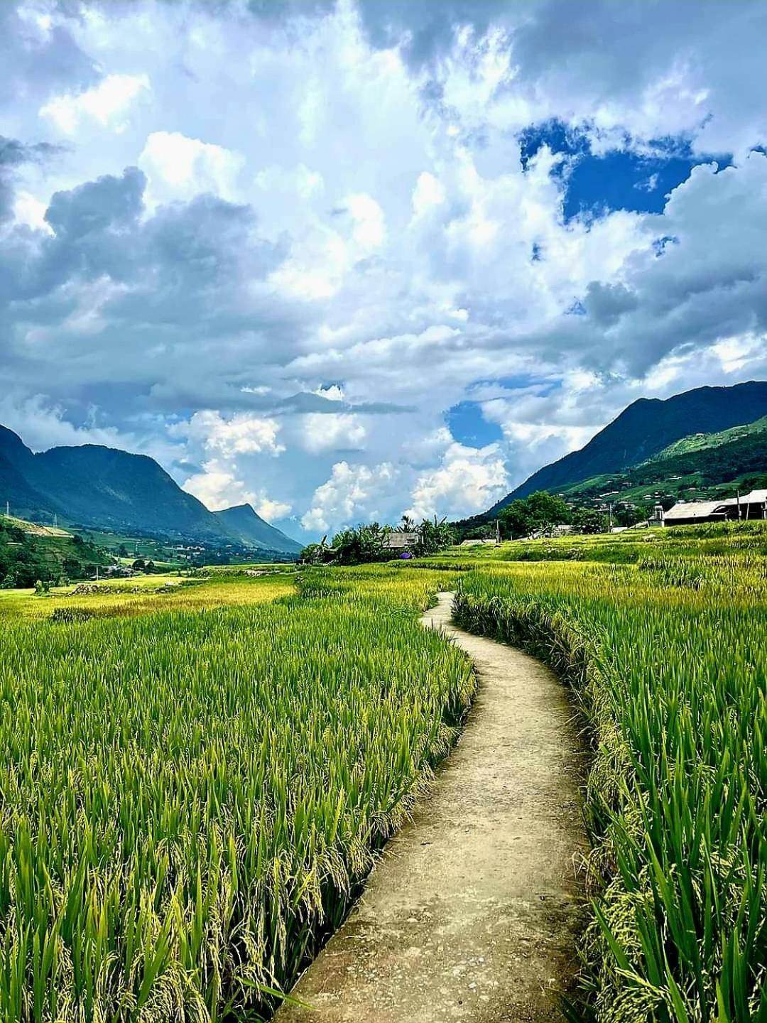 Tavan Dragon House Lao Cai Dış mekan fotoğraf