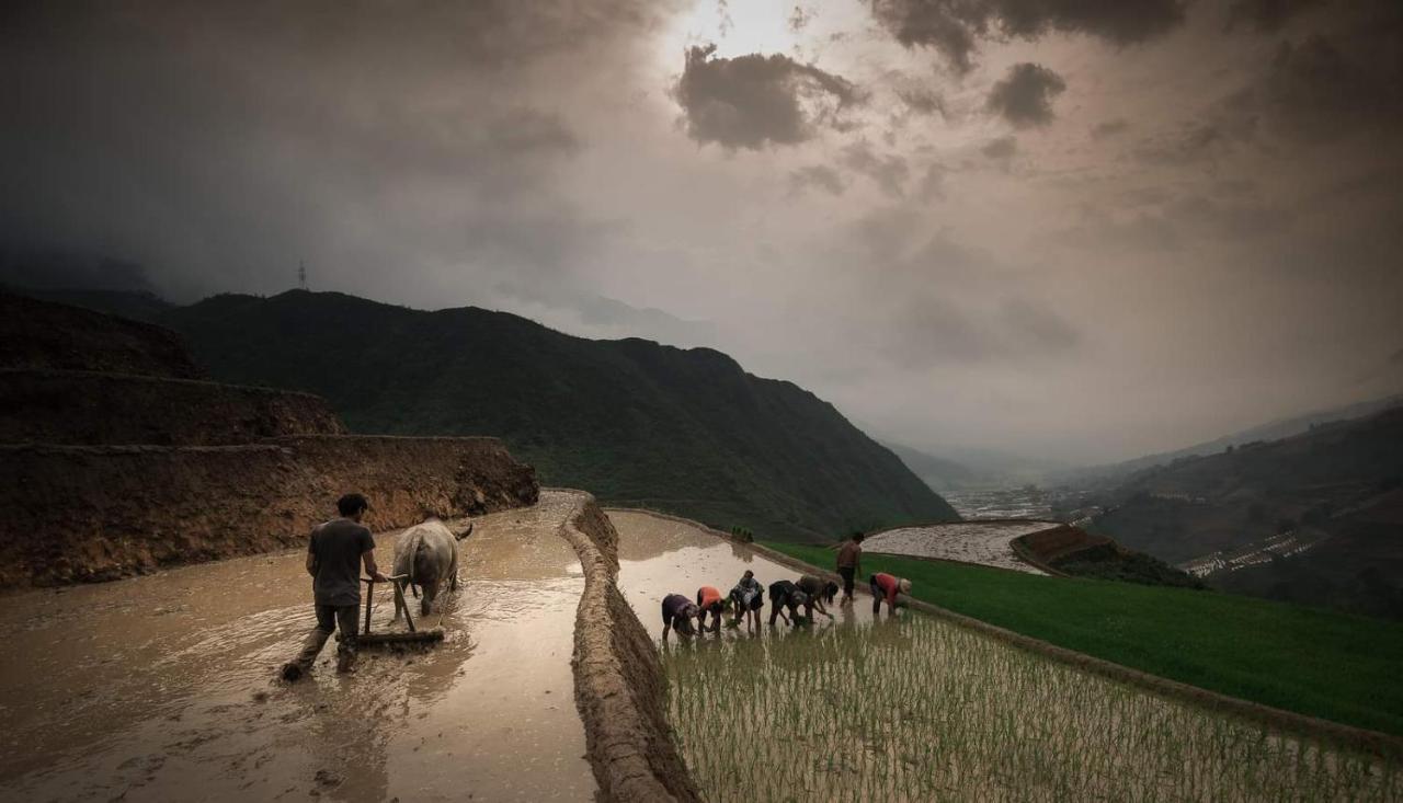 Tavan Dragon House Lao Cai Dış mekan fotoğraf